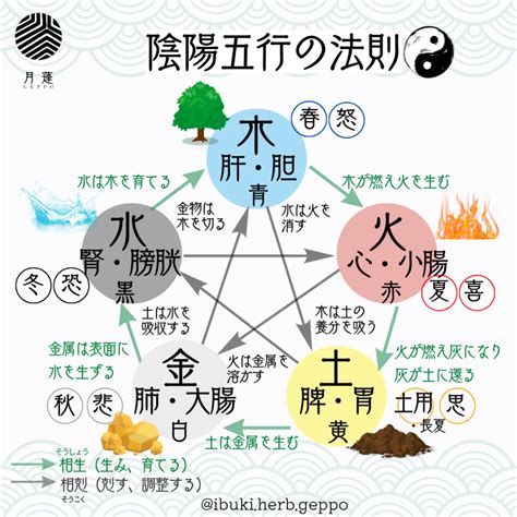 五行風水生年月日|陰陽五行チェック